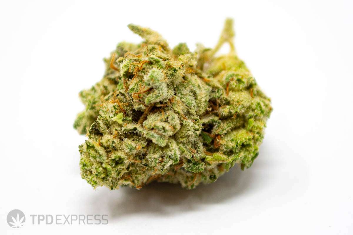 Las Vegas Bubba